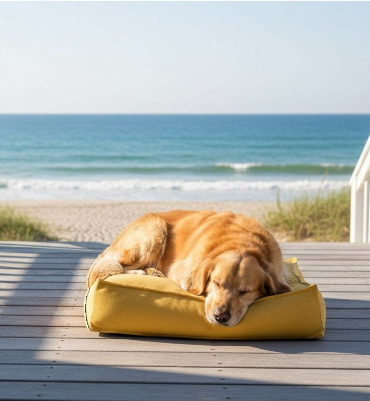 Animozen coussin rectangulaire jaune pour chien en textile doux, rembourrage en mousse à mémoire de forme, lavable.