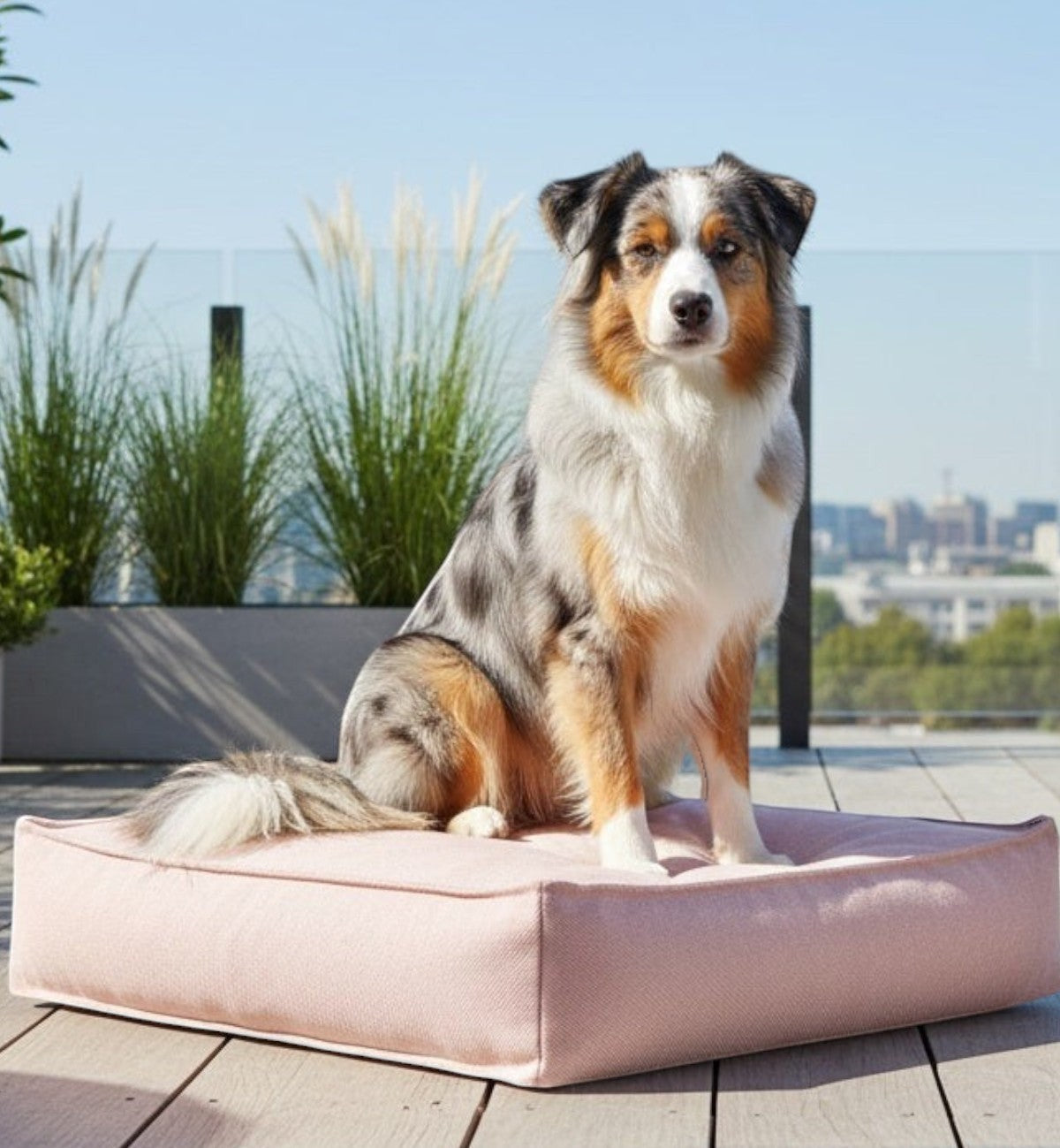 Animozen coussin pour chien Baldar rose en textile, épaisseur 18 cm, mémoire de forme, housse amovible.