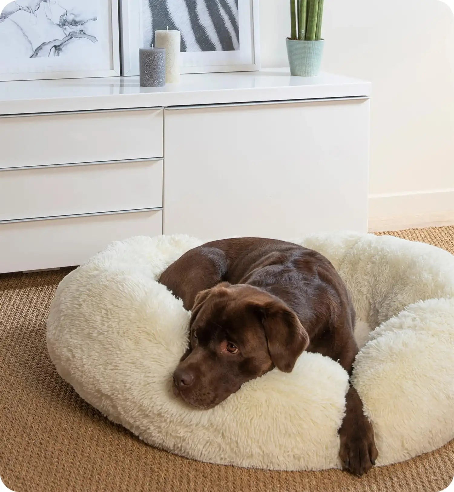 Animozen coussin rond moelleux blanc pour chien ou chat, 95 cm de diamètre, en polyester