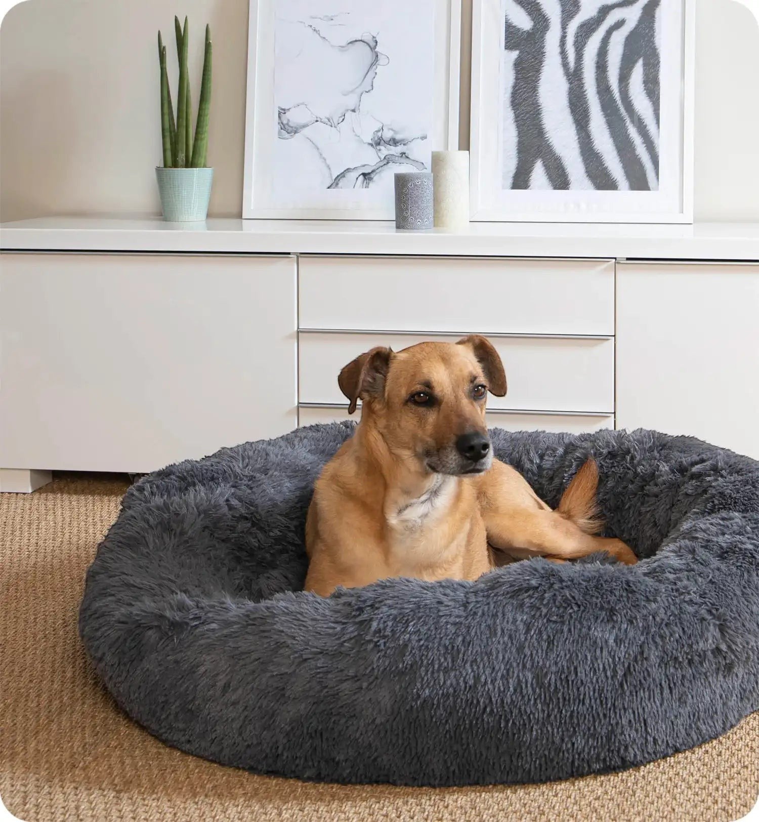 Animozen coussin rond gris foncé en polyester pour chien ou chat, doux et confortable, avec base antidérapante.