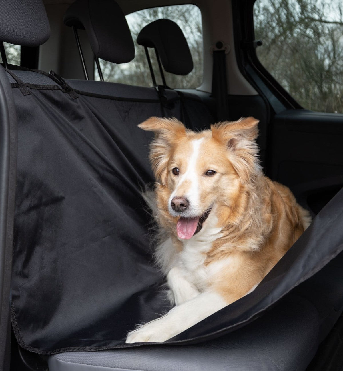 Animozen couverture de protection de voiture noire en polyester pour chien, modèle hamac, 143 x 138 cm