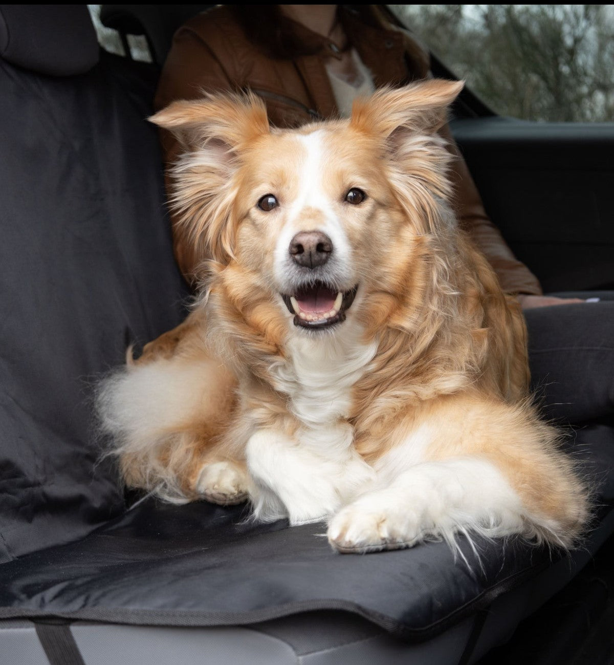 Animozen couverture de protection de banquette de voiture pour chien, noir, en polyester imperméable et antidérapant.