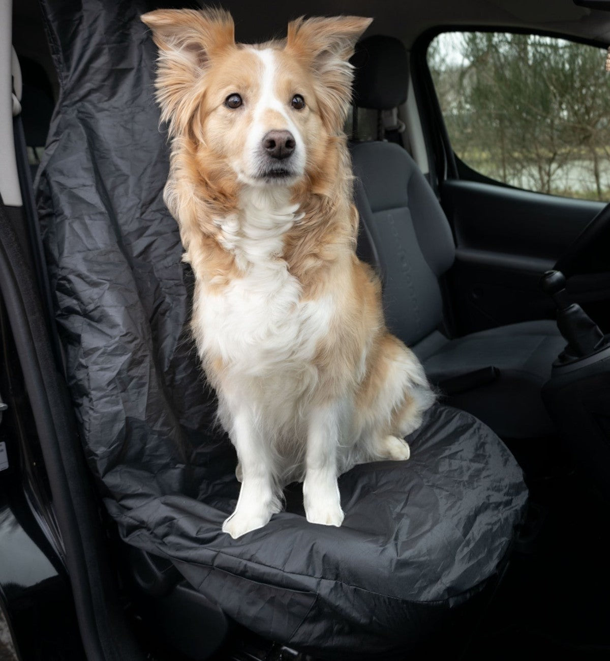 Animozen couverture de siège de voiture noire en polyester imperméable pour chien, 135 x 70 cm, avec 4 poches de rangement.