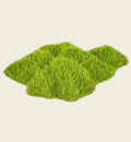 Animozen décoration aquarium gazon vert 9 cm, fausse herbe réaliste pour fond d'aquarium.