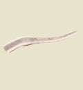 Animozen natural deer antler dog chew, split lengthwise to expose marrow, beige and grey.
