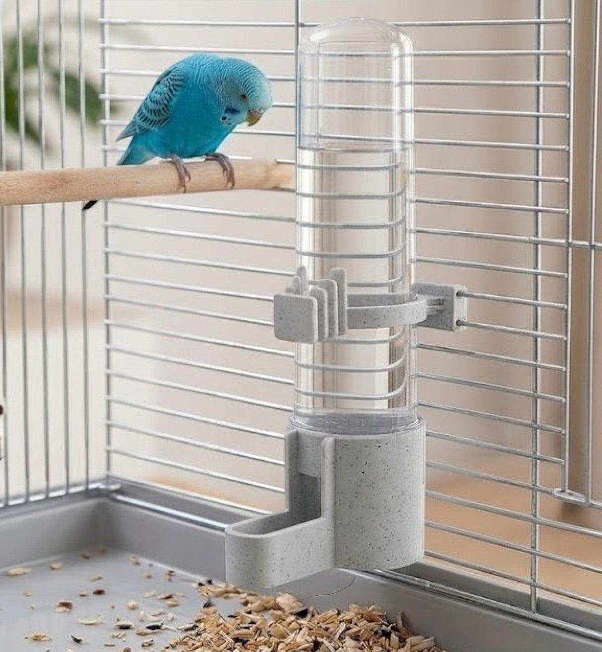 Animozen distributeur d'eau suspendu pour oiseaux en plastique transparent et gris, 14,5 cm, avec un oiseau bleu perché à côté.