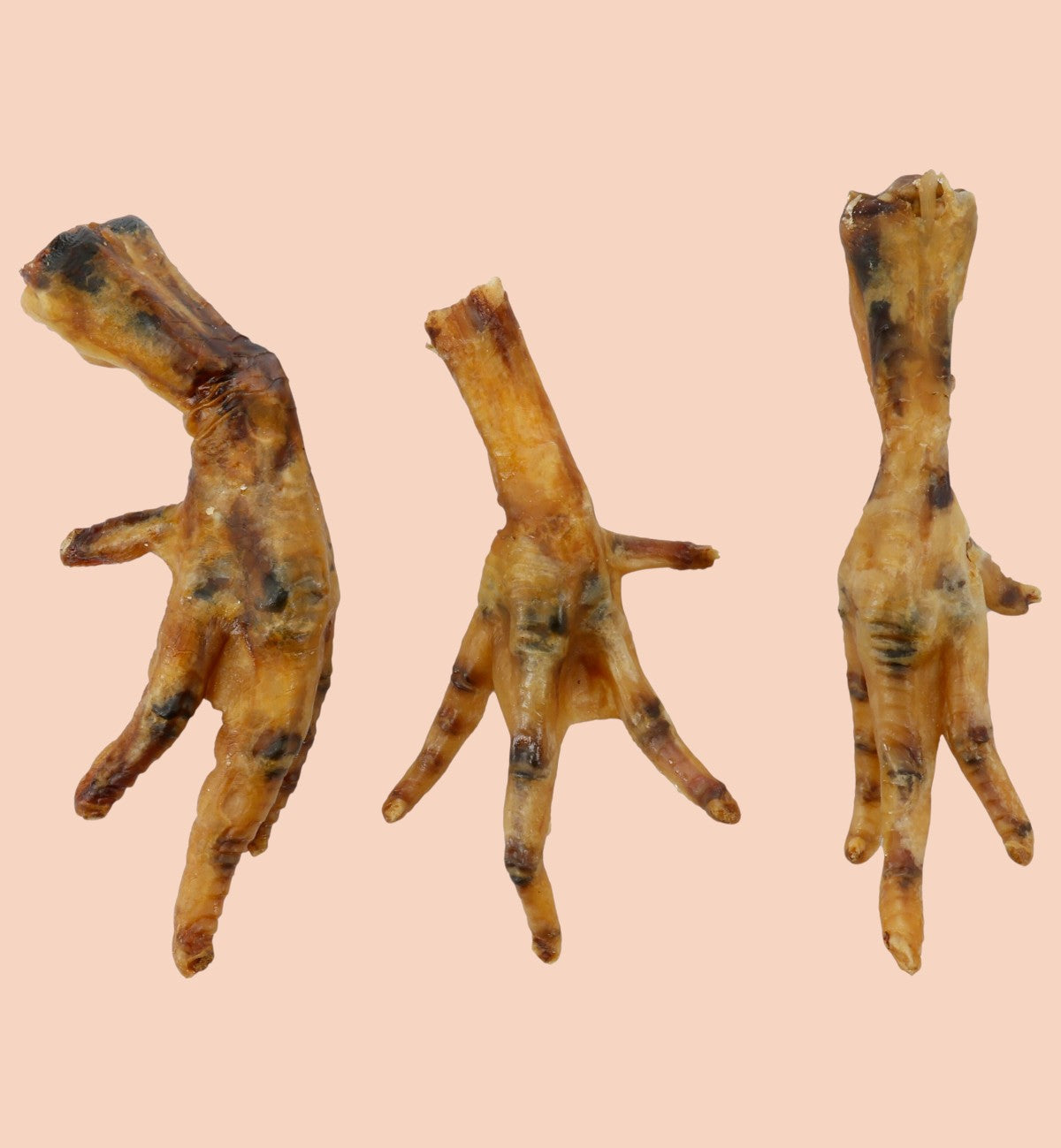 Animozen natural dried chicken feet dog treats, crunchy and protein-rich.