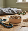 Gamelle Yums en inox beige pour chien, design moderne, fond antidérapant, 870 ml, par Animozen