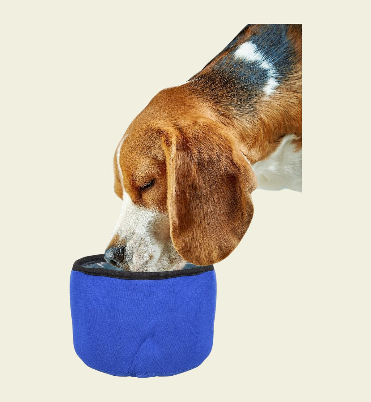 Animozen gamelle de voyage ronde bleue en néoprène pour chien, avec insert gel rafraîchissant.