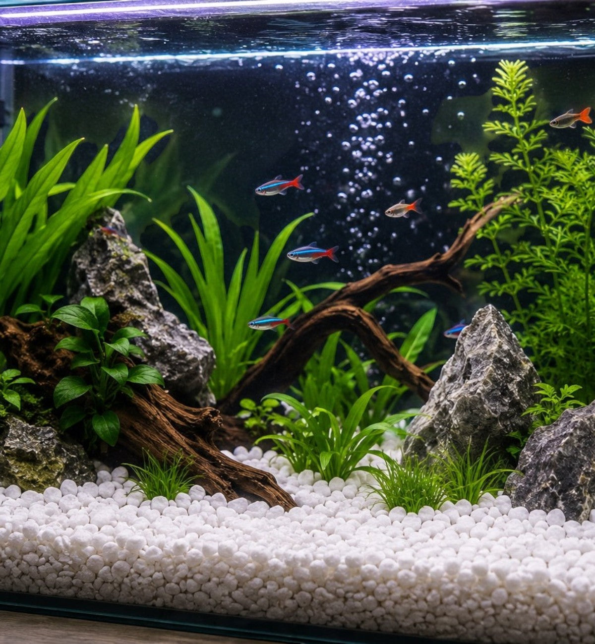 Gravier décoratif blanc Animozen pour aquarium, 10 kg, granulométrie 9-12 mm, idéal pour plantes et poissons.