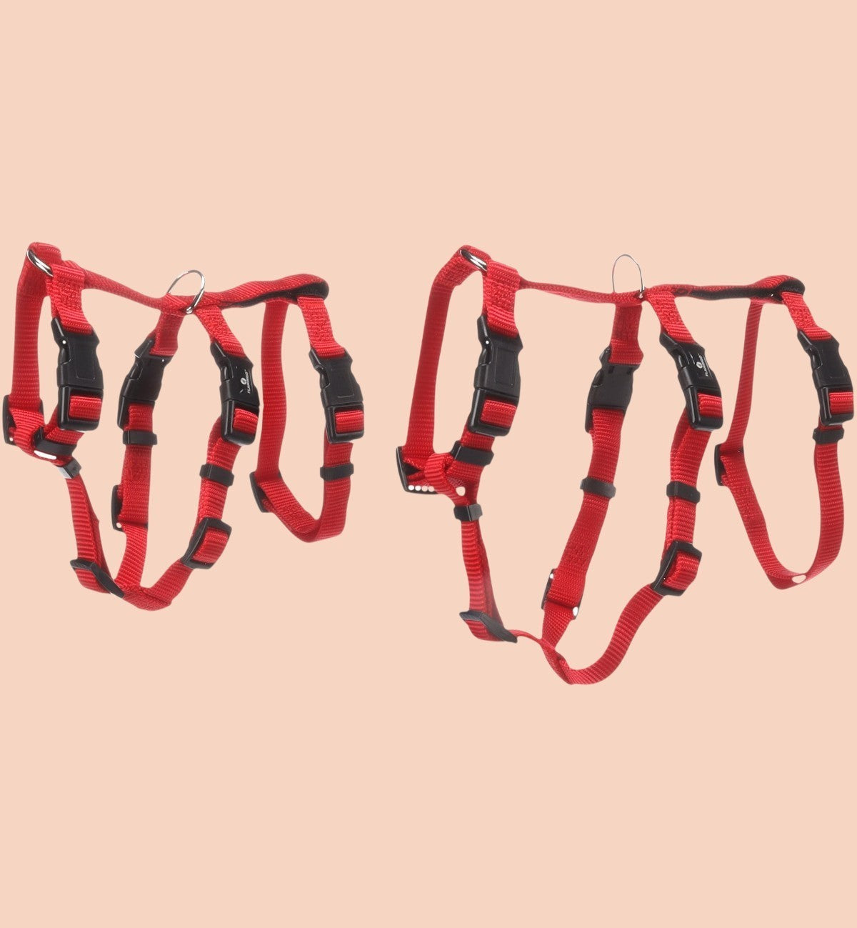 Harnais de sécurité rouge en nylon pour chat Animozen, réglable et anti-évasion, avec fermeture à clic et anneau métallique.