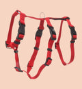 Harnais pour chat Animozen Zera rouge en nylon, réglable, anti-évasion, avec fermeture à clic et anneau métallique.