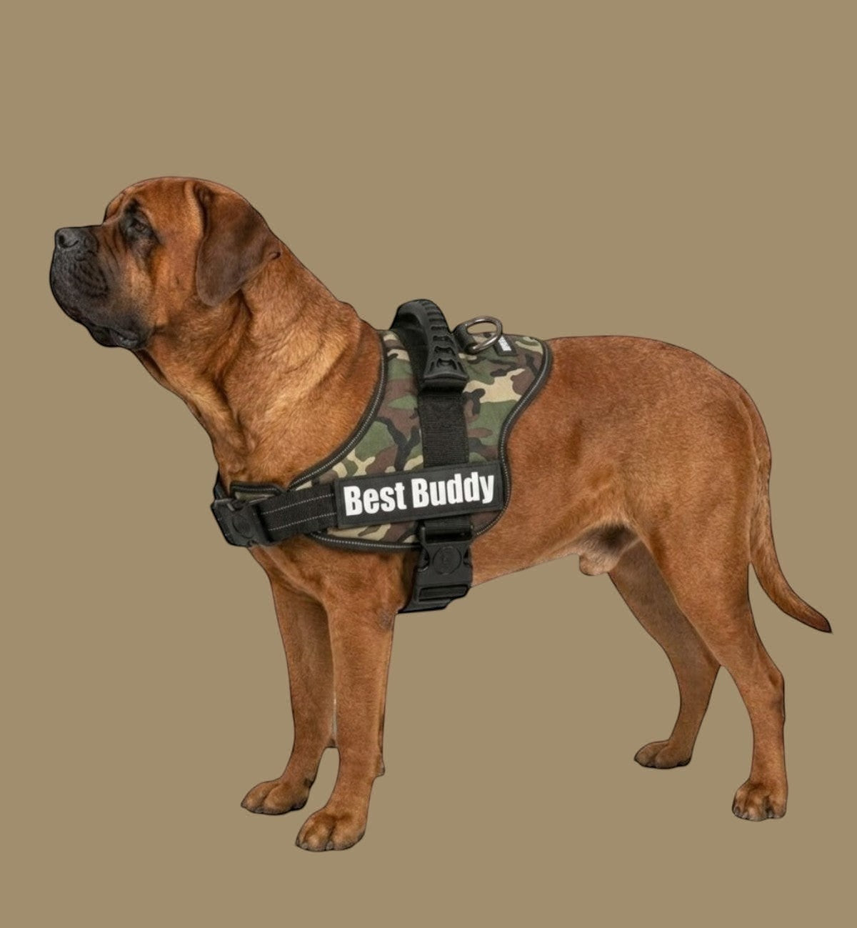 Harnais pour chien Animozen Pluto vert camouflage jungle, réglable, en nylon résistant avec rembourrage doux et bandes réfléchissantes.