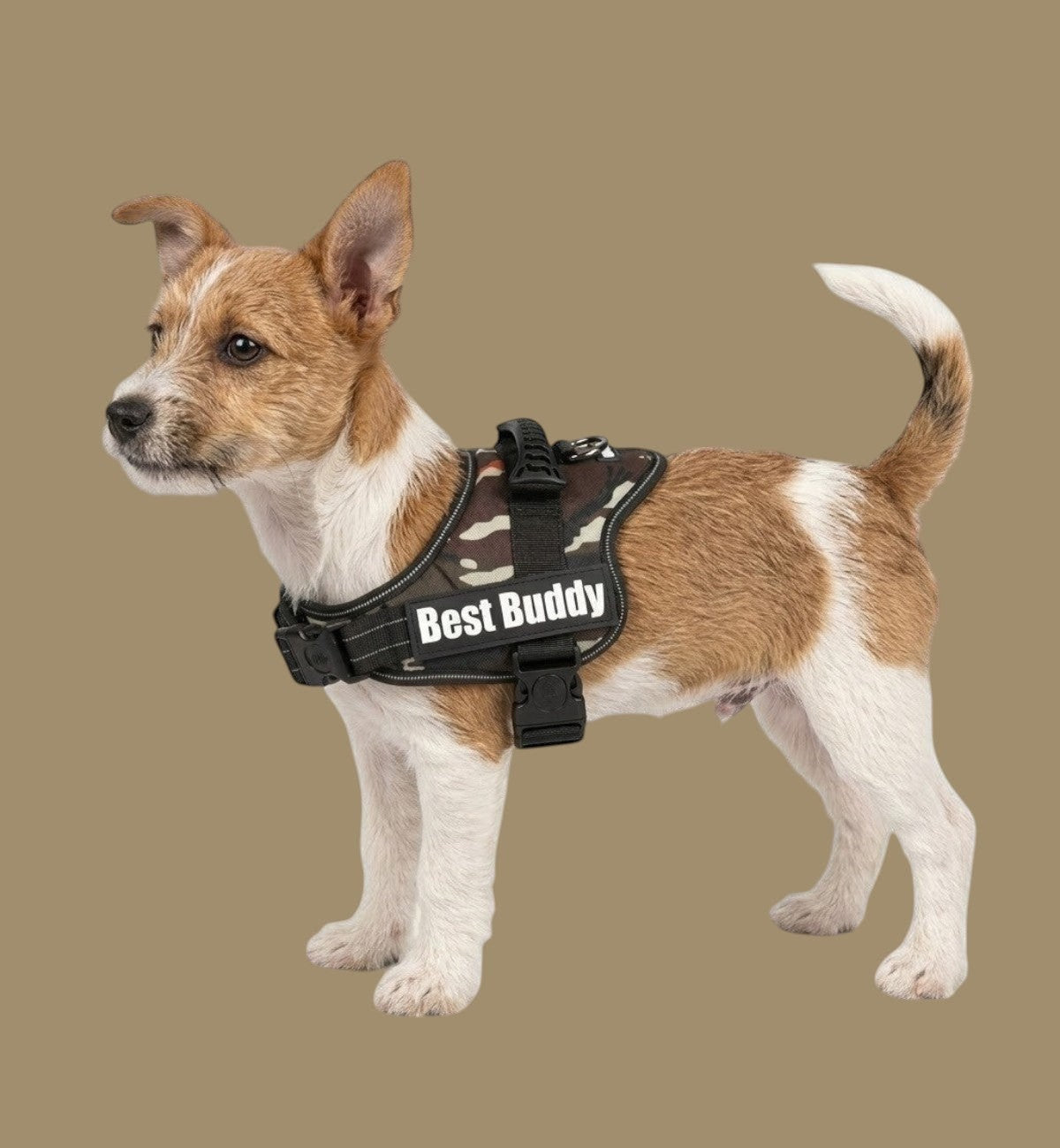 Animozen harnais pour chien vert camouflage jungle, réglable, en nylon avec rembourrage doux et bandes réfléchissantes.