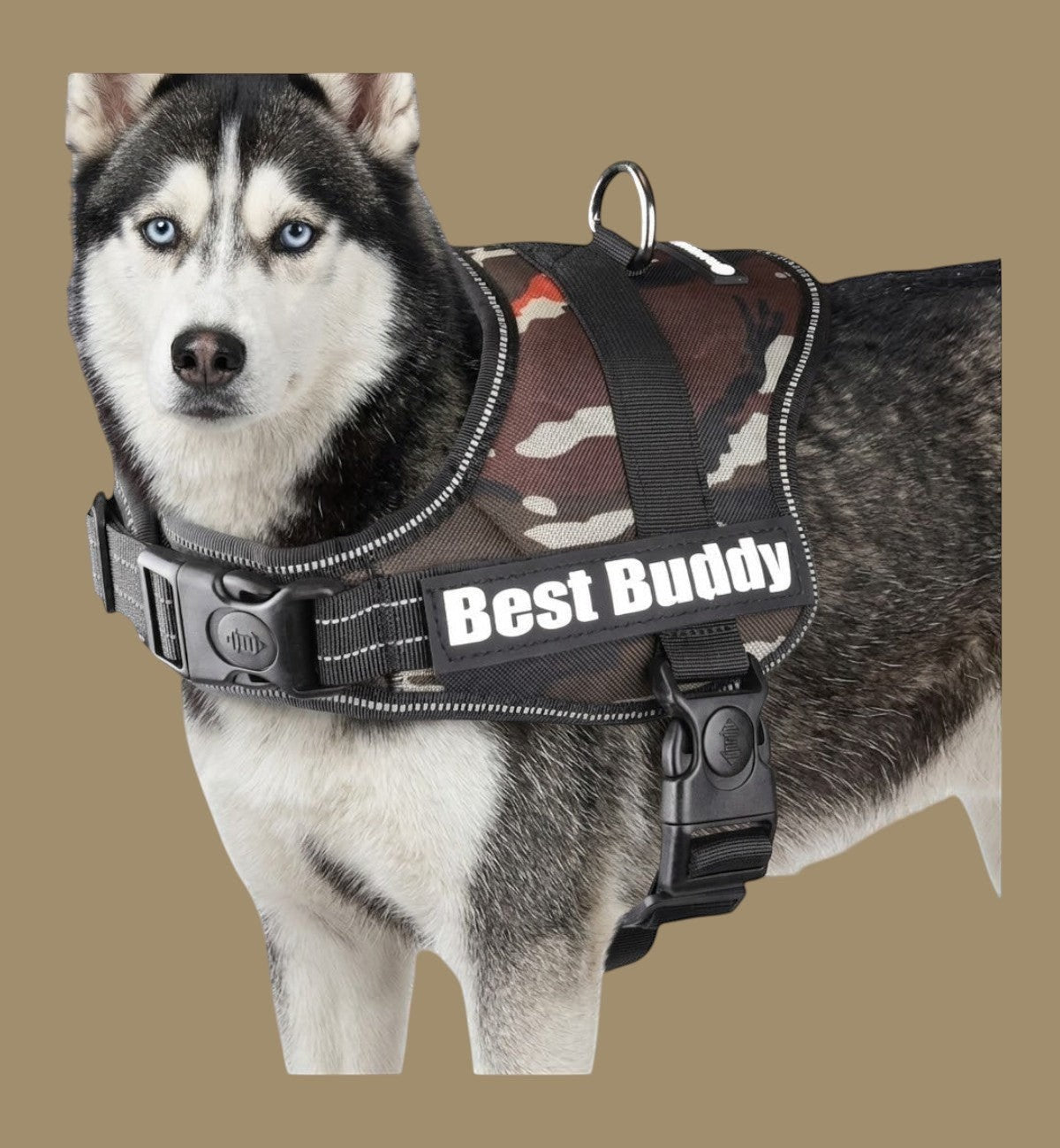Harnais pour chien Animozen Pluto vert camouflage jungle, réglable, en nylon résistant avec rembourrage doux et bandes réfléchissantes.