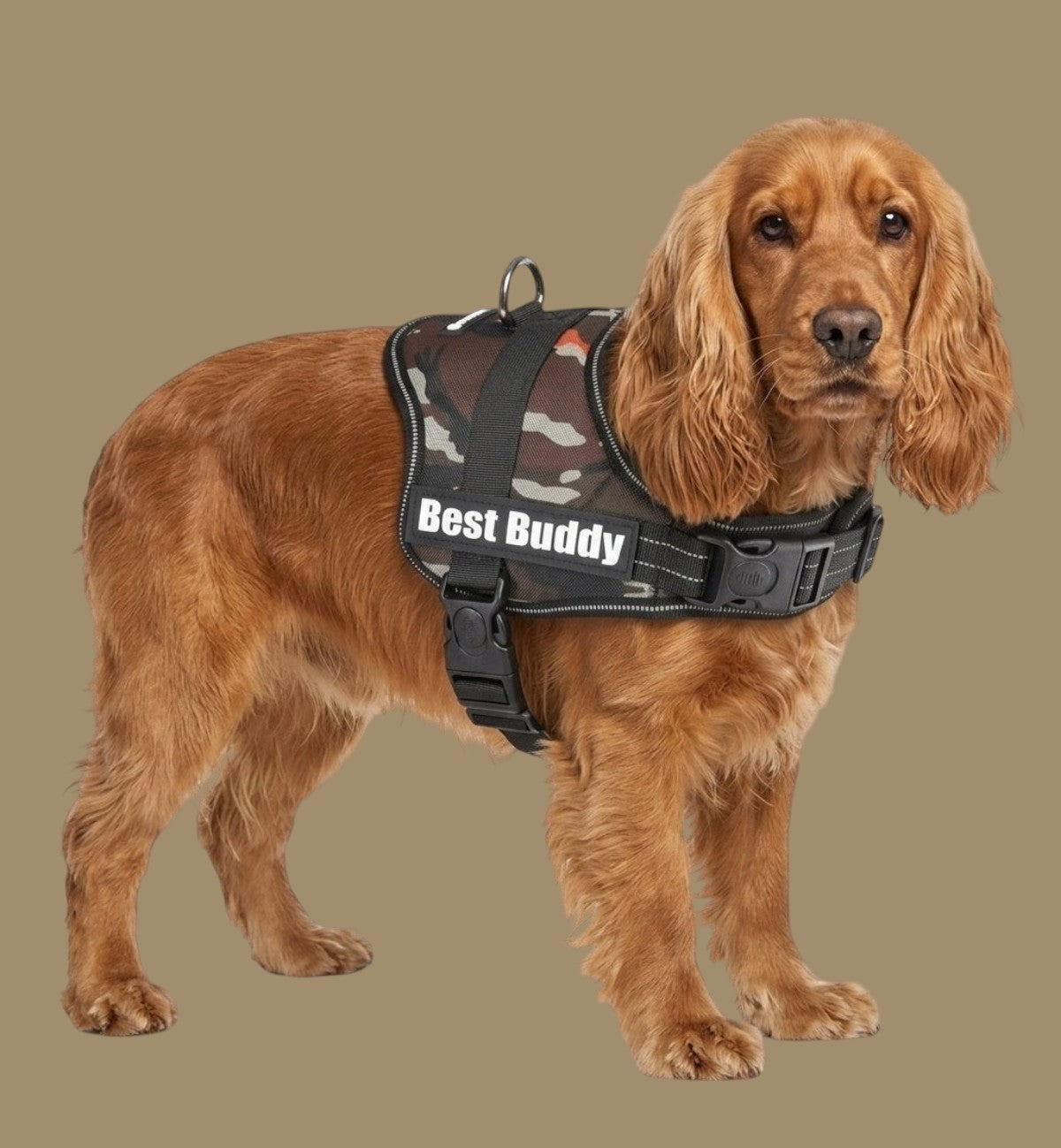 Animozen harnais pour chien vert camouflage jungle, réglable, en nylon avec rembourrage doux et bandes réfléchissantes.