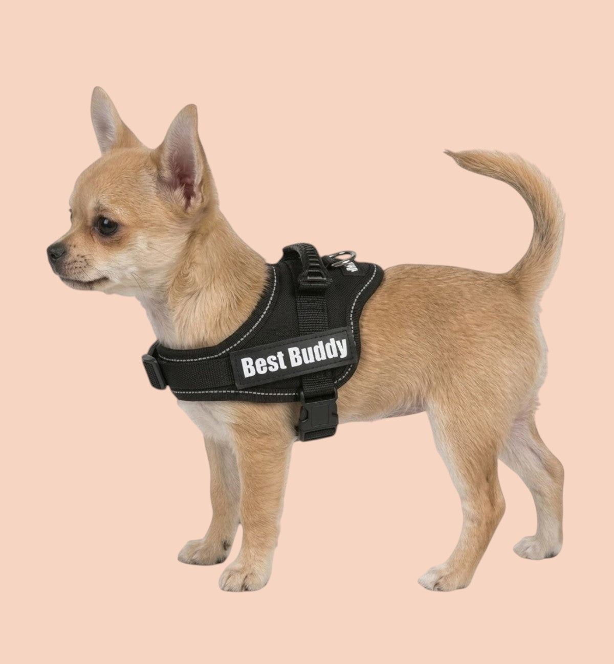 Animozen Harnais Pluto noir réglable pour chien en nylon avec rembourrage doux et bandes réfléchissantes.