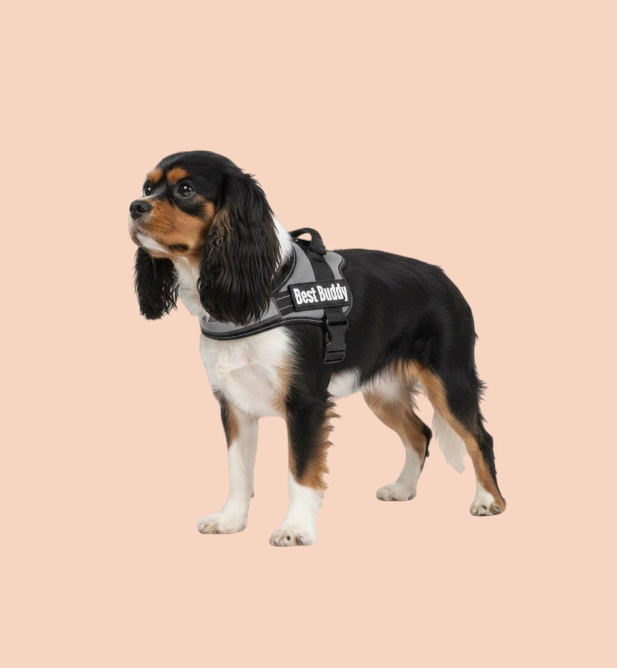 Harnais gris pour chien Animozen Pluto en nylon réglable avec rembourrage doux et bandes réfléchissantes.