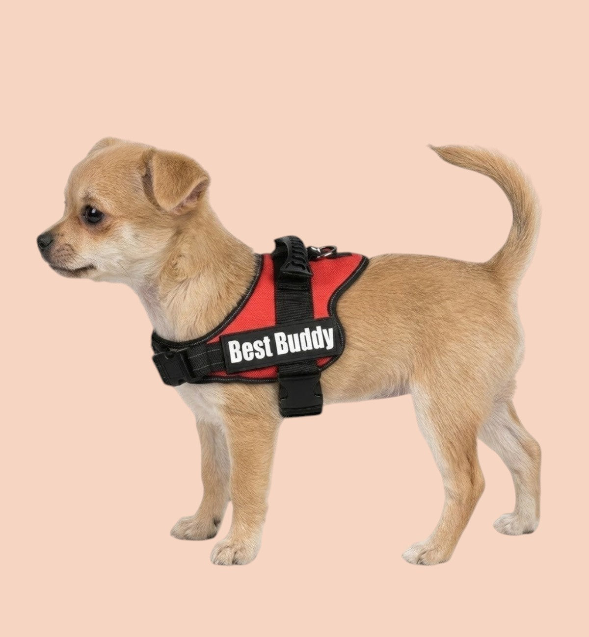 Animozen Harnais pour chien Pluto rouge en nylon réglable avec rembourrage doux et bandes réfléchissantes.
