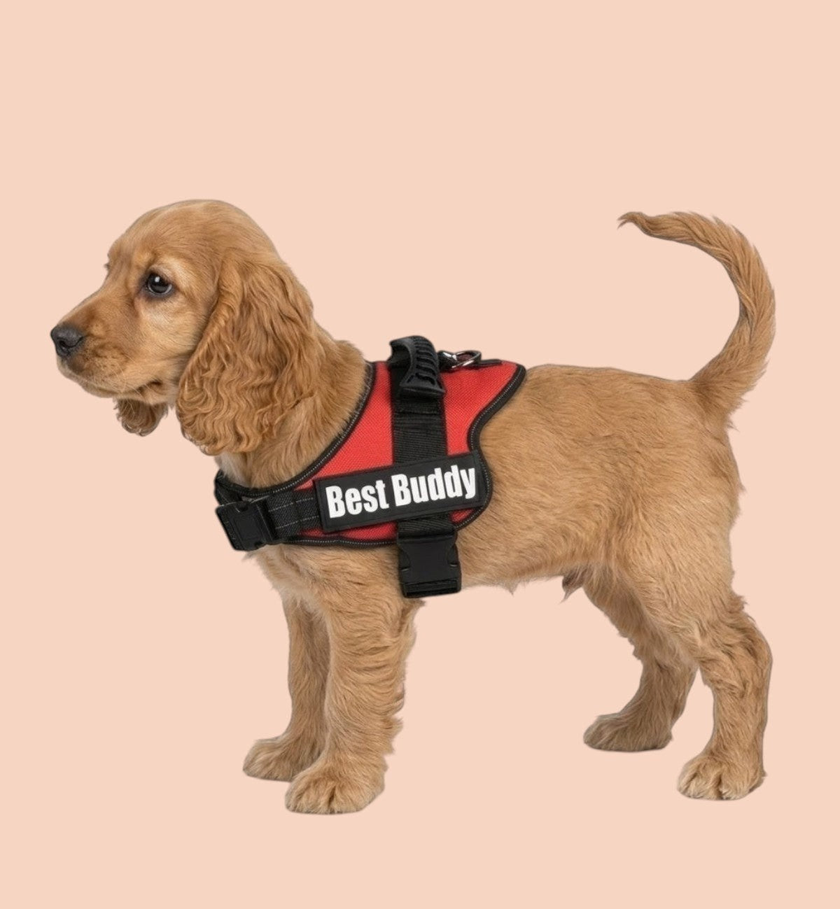 Animozen Harnais pour chien Pluto rouge en nylon réglable avec rembourrage doux et bandes réfléchissantes.