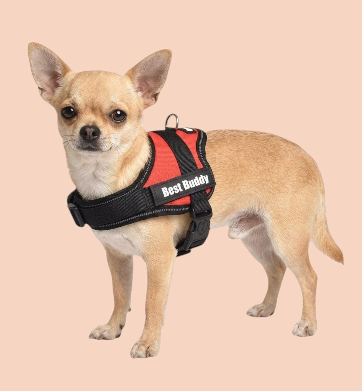 Animozen Harnais Pluto rouge pour chien en nylon réglable avec rembourrage doux et bandes réfléchissantes.