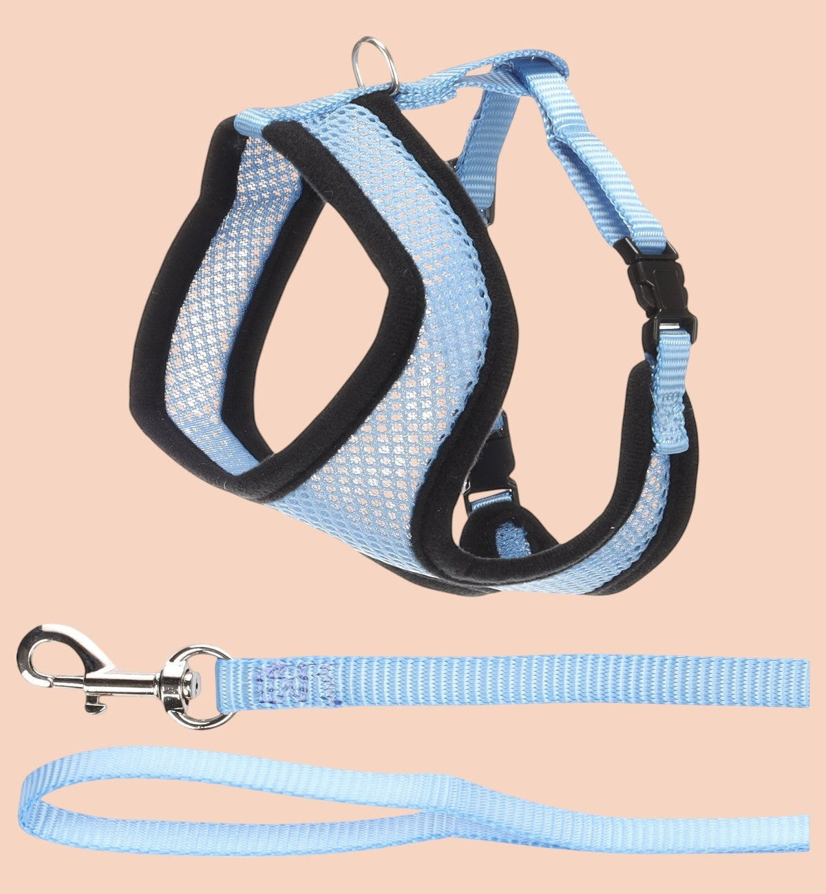 Harnais et laisse pour chat Animozen bleu ciel en nylon respirant avec bordures noires et fermetures à clic.