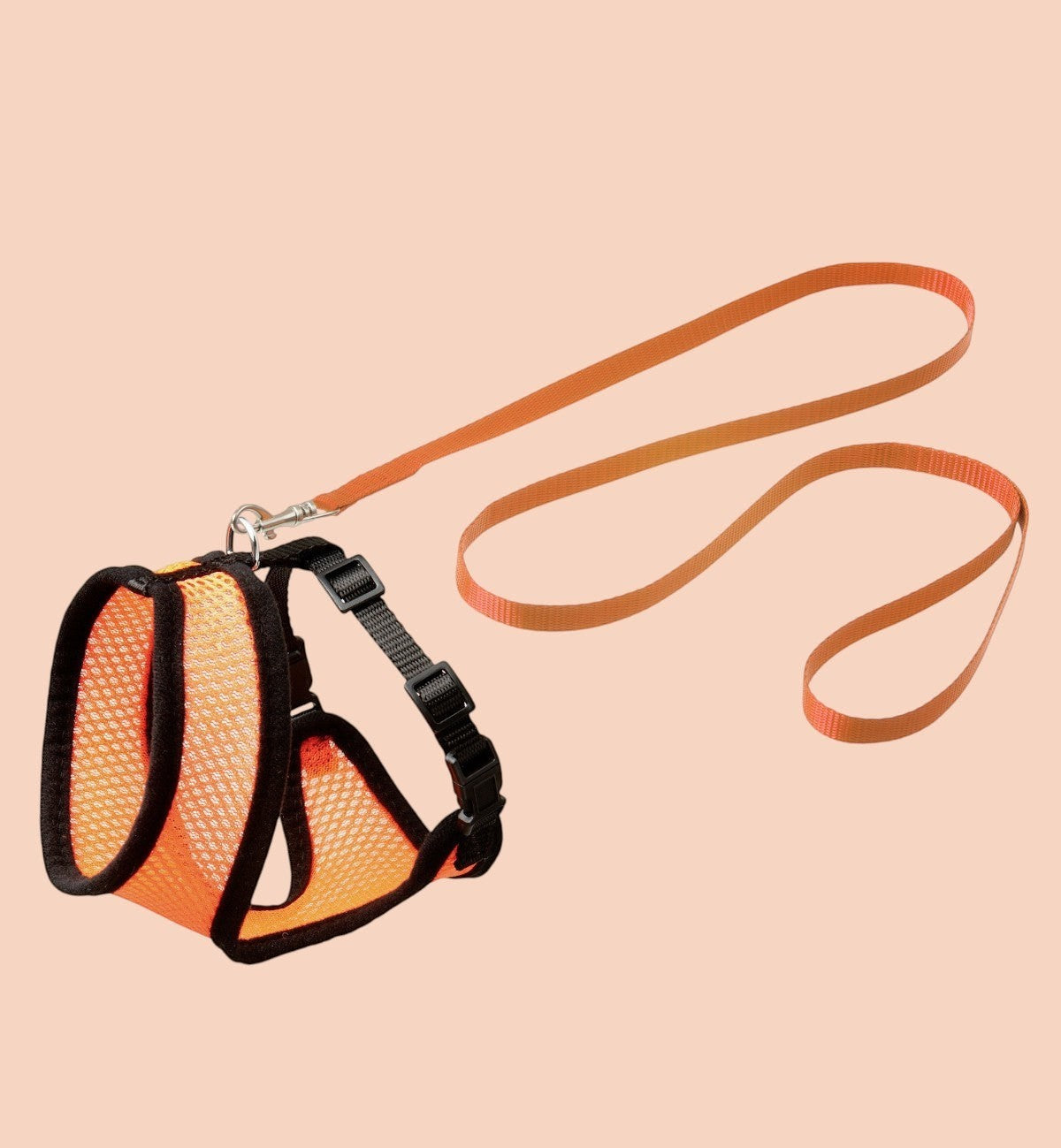 Harnais et laisse pour chat Animozen orange en nylon respirant avec fermeture à clic et pièces chromées pour promenades extérieures.