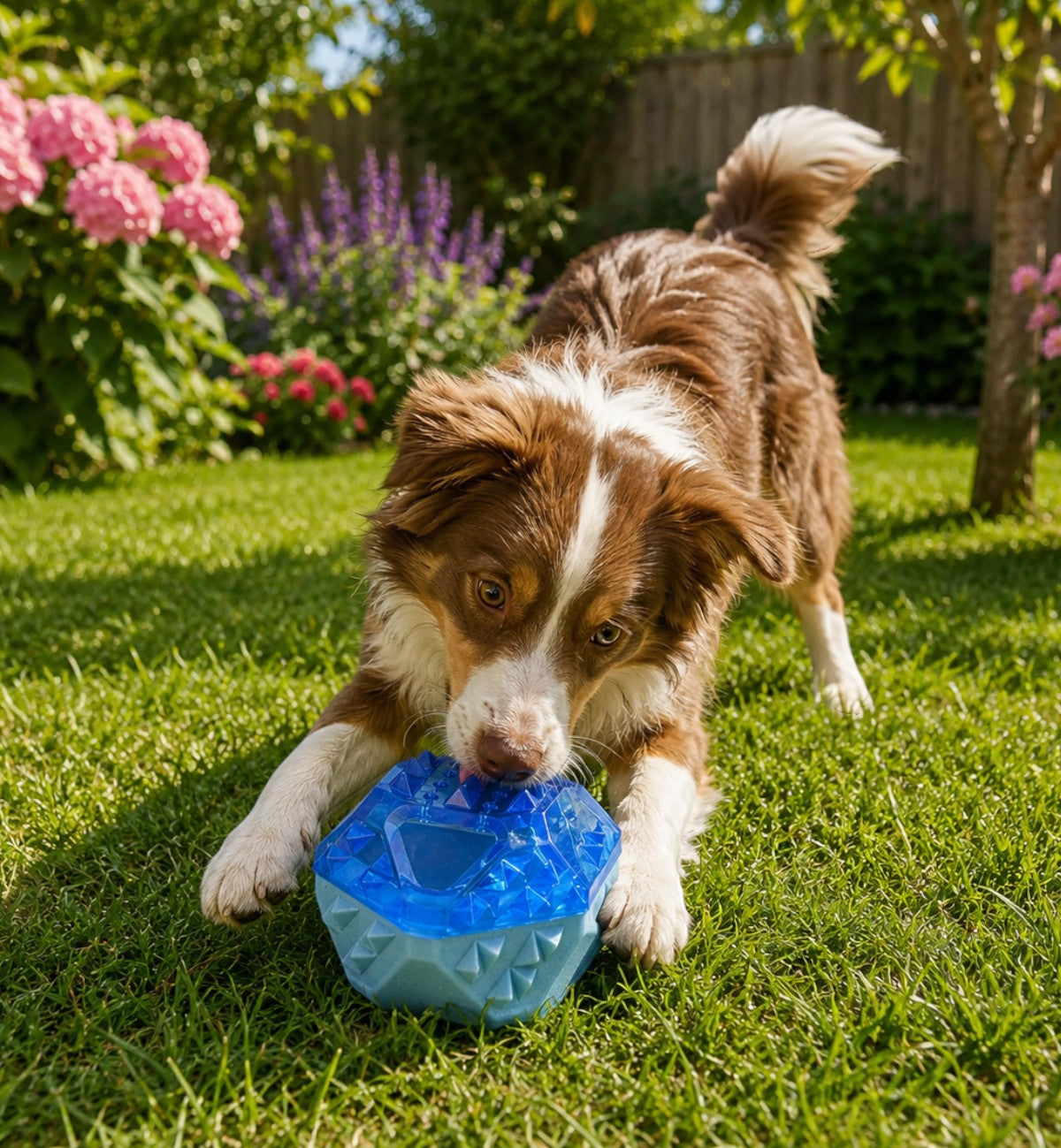 Animozen Jouet Snowy Balle Glacée Bleu en caoutchouc TPR remplissable pour chien, idéal pour l'été.