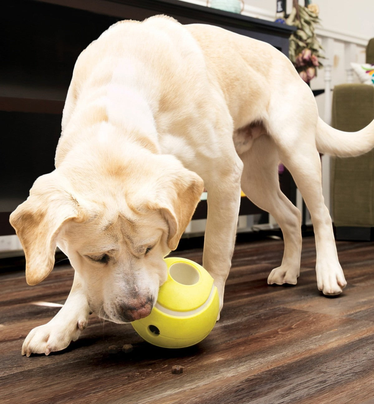 Animozen Jouet Récompense Balle de tennis jaune en caoutchouc TPR pour chien, interactif et remplissable de friandises.