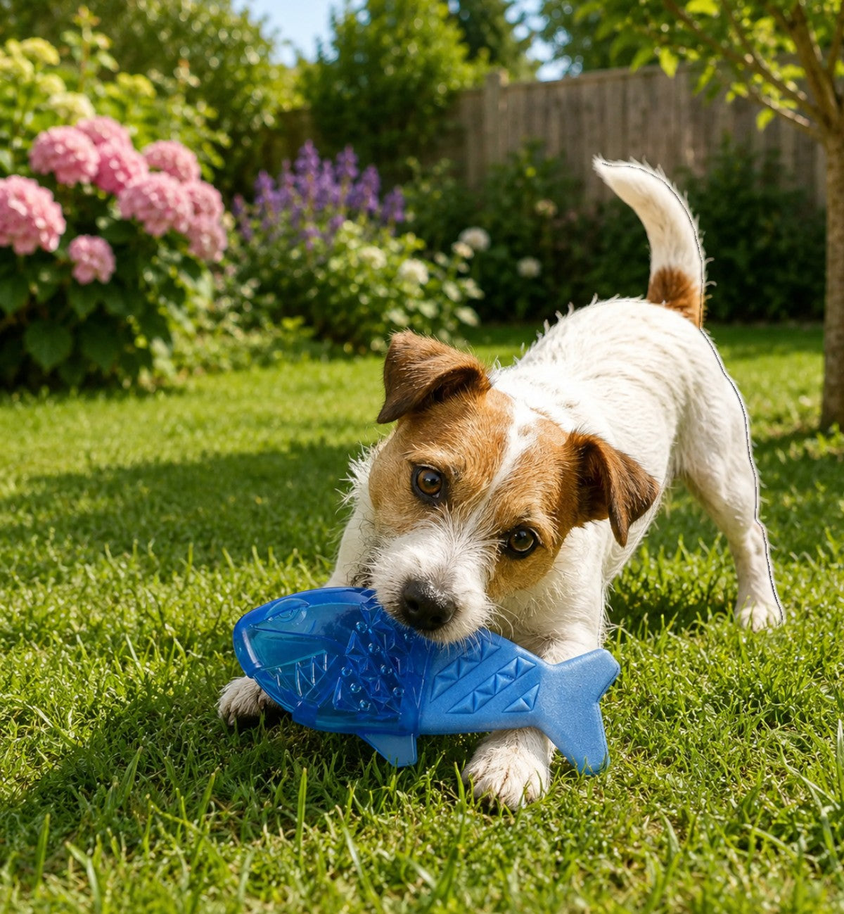 Animozen Jouet Snowy Poisson Glacé Bleu en caoutchouc TPR, jouet rafraîchissant pour chien
