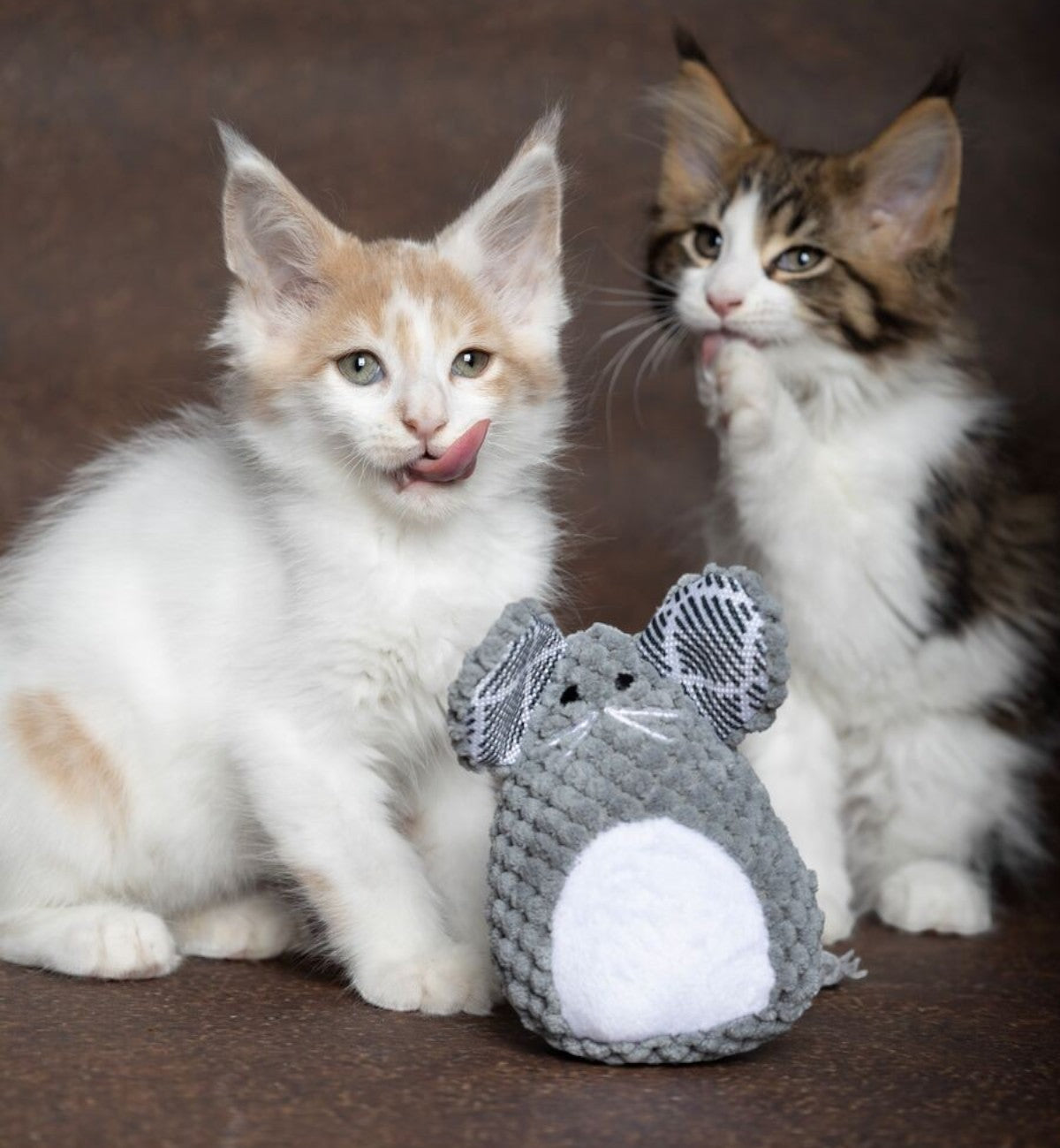 Animozen Jouet Mazzo Souris Cataire gris en peluche velours côtelé avec oreilles à motif, pour chat.