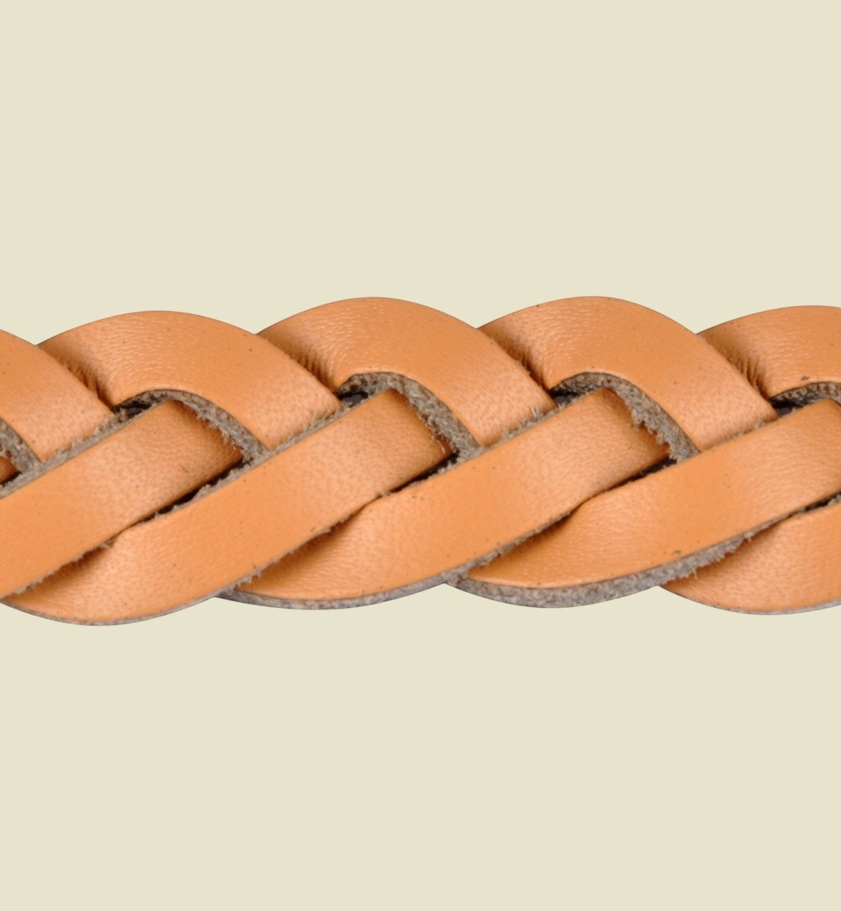 Animozen laisse en cuir tressé naturel pour chien, 120 cm, marron clair, pour promenades quotidiennes.