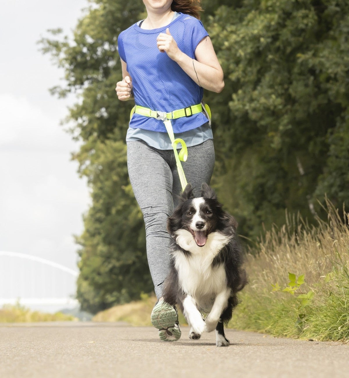 Animozen laisse de jogging mains libres jaune fluo avec ceinture de hanches et chien noir et blanc courant