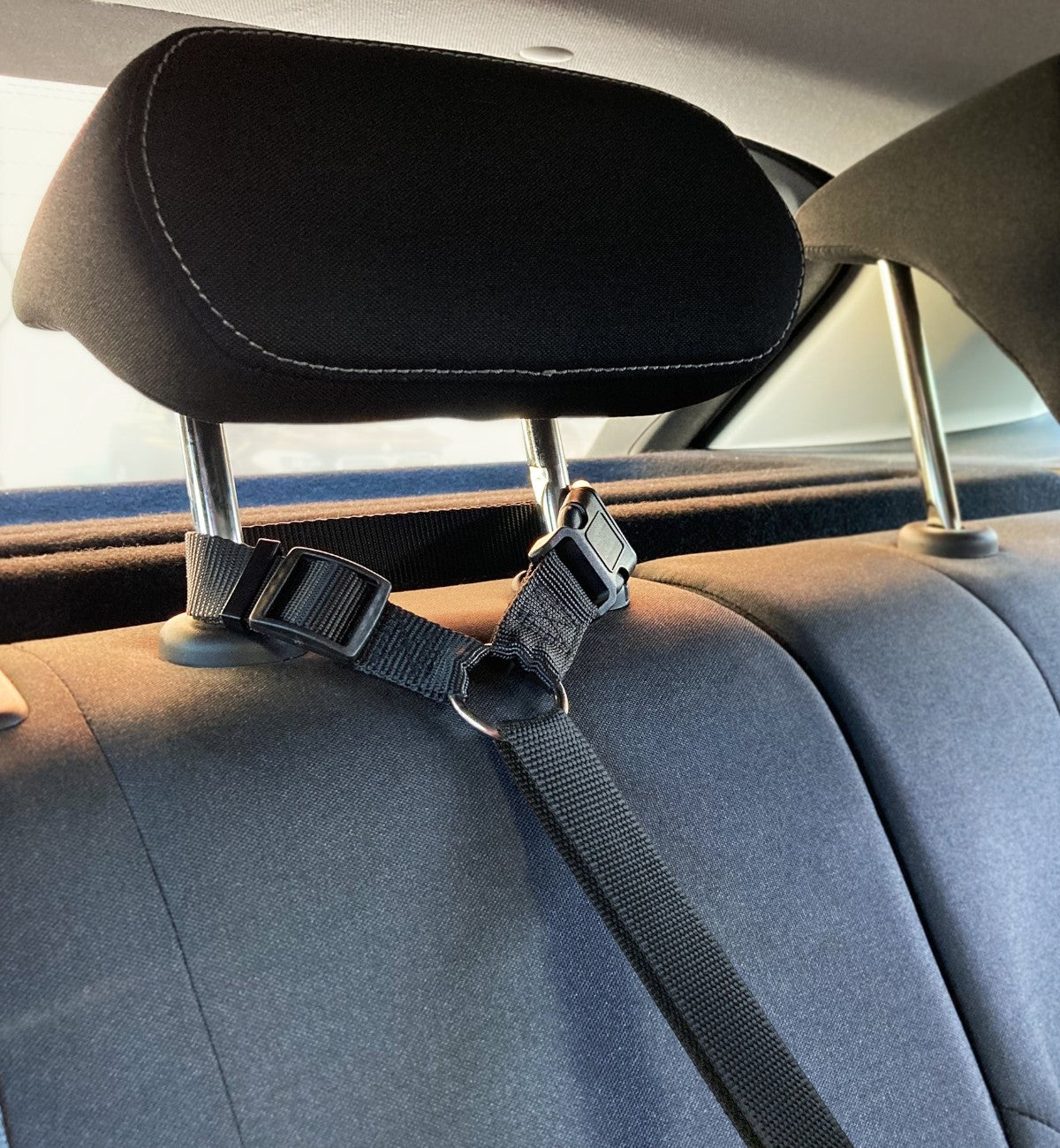 Animozen Laisse de voiture noire en polyester pour chien, réglable et sécurisée, s'attache aux appuie-têtes.