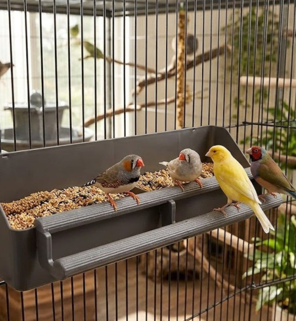 Mangeoire double grise en plastique pour oiseaux avec perchoirs, par Animozen. Idéale pour graines et eau.