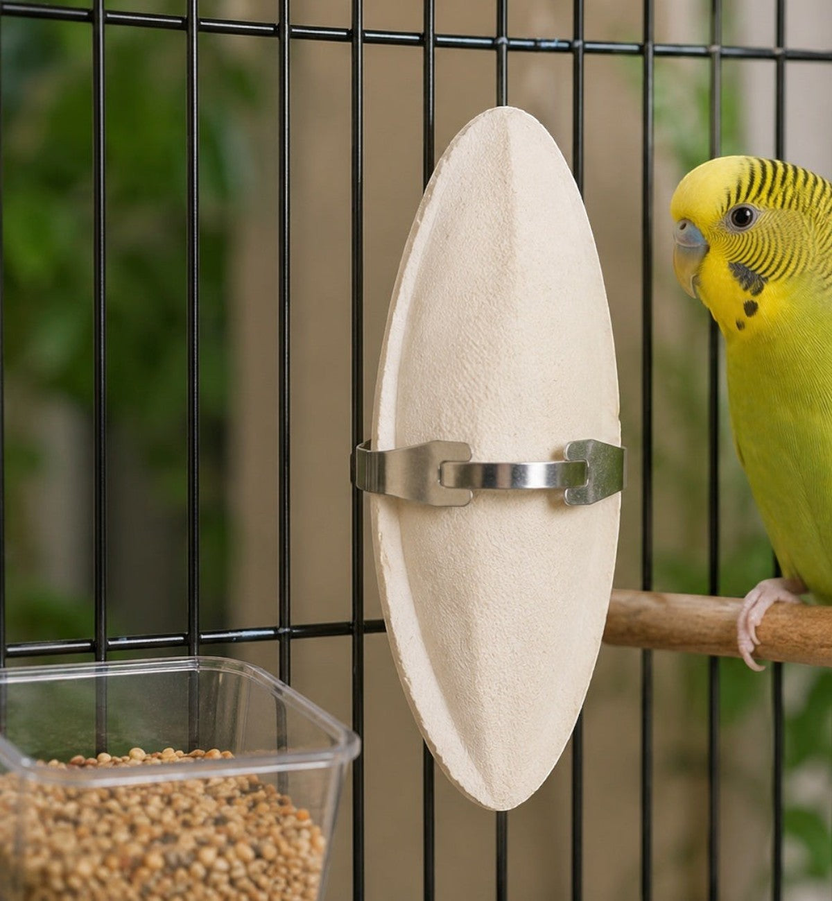 Os de seiche naturel de 11 cm avec support métallique pour oiseaux, source de calcium et pour l'usure du bec. Animozen.