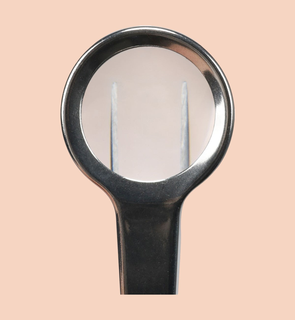 Pince à tiques Animozen argentée en métal avec loupe intégrée pour un retrait facile et précis des tiques sur chien.