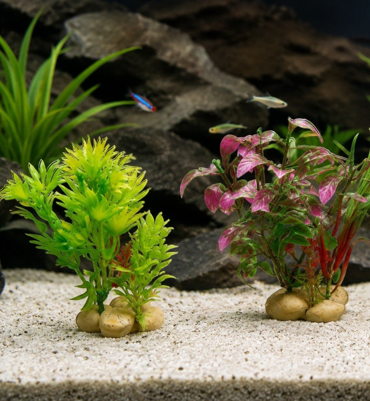 Lot de 3 plantes décoratives Animozen pour aquarium, synthétiques, orange, rose et verte, avec base en polyrésine.