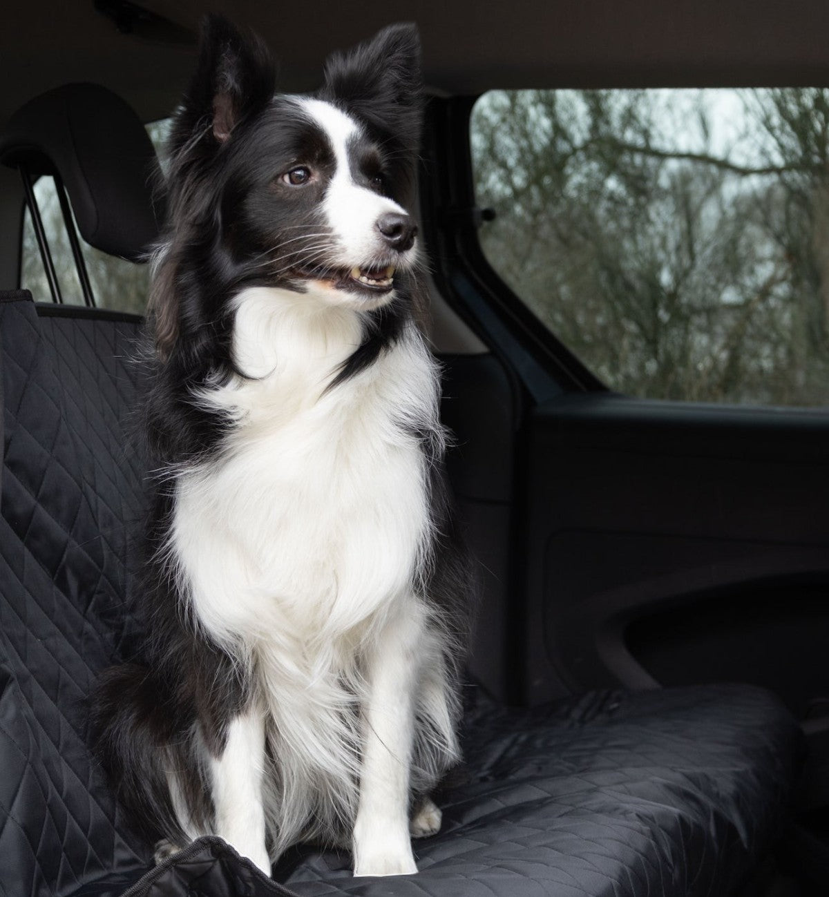 Animozen protège siège pour chien noir en polyester matelassé, 140 cm, avec un border collie assis dessus.