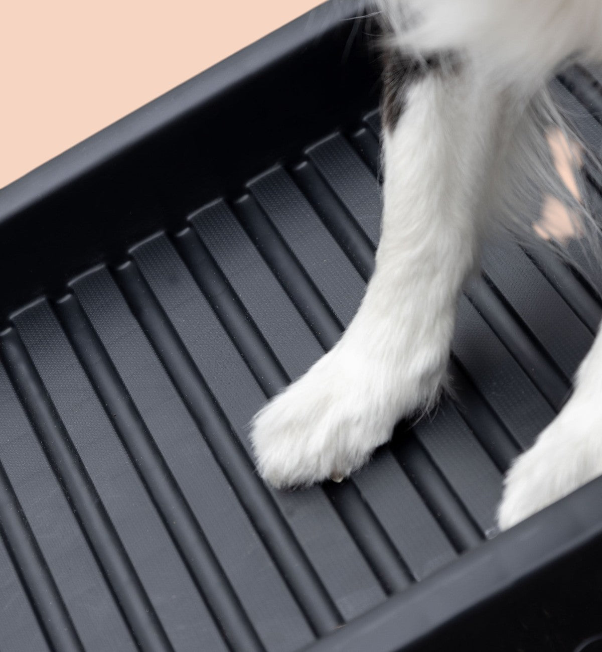 Animozen Rampe pour chien noire pliable en polypropylène avec surface antidérapante pour un accès facile à la voiture.
