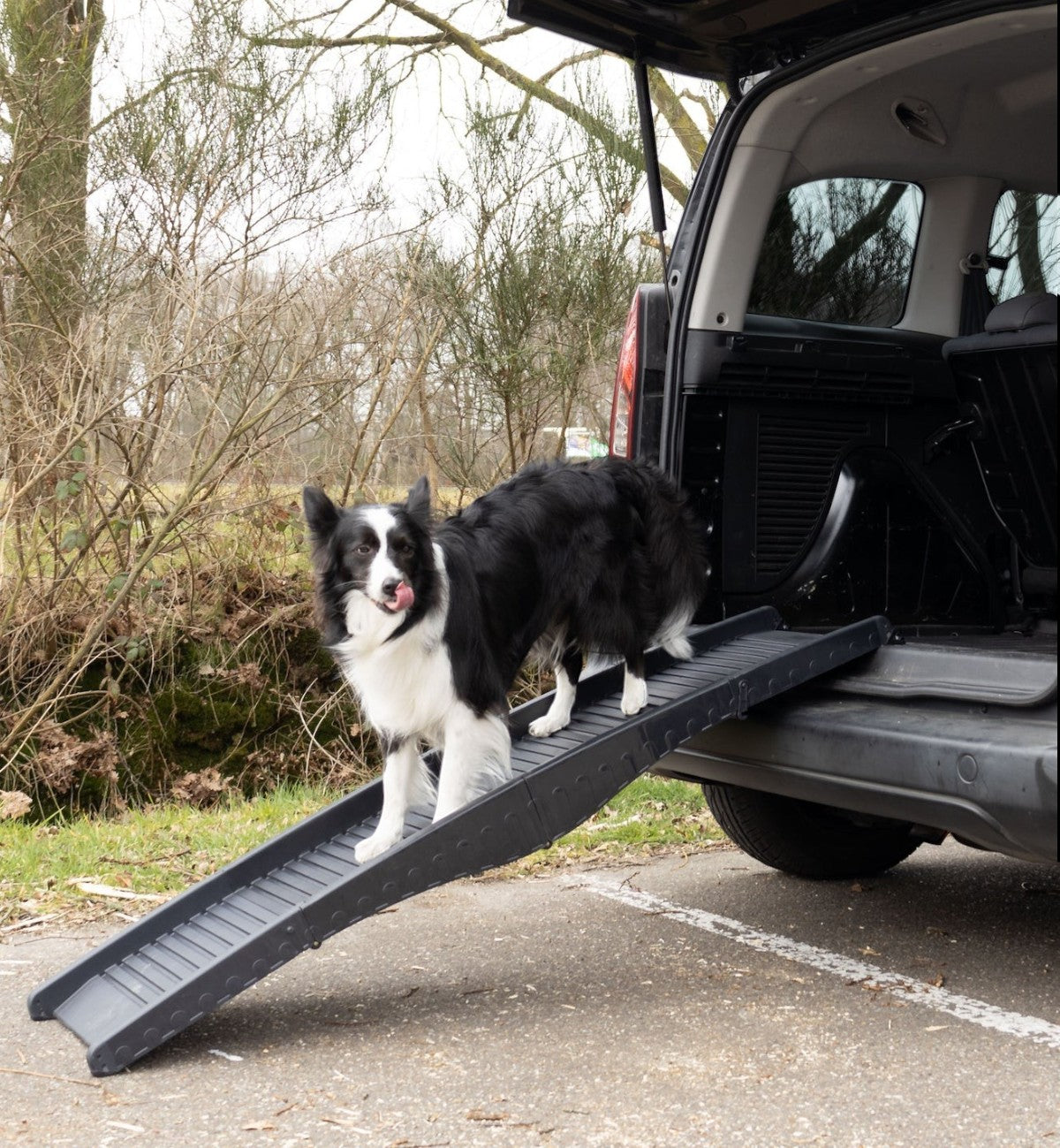 Rampe noire pliable pour chien Animozen, surface antidérapante, 150 x 39,5 cm, pour accès voiture