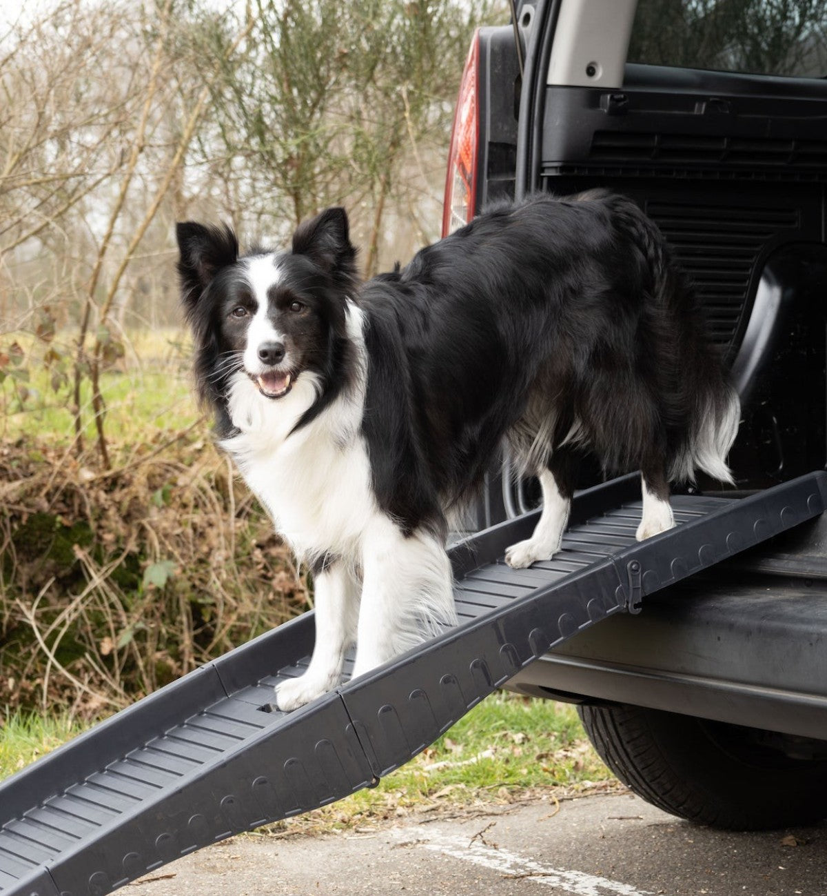 Animozen Rampe de voiture pour chien noire pliable en polypropylène, surface antidérapante, 150x39,5 cm