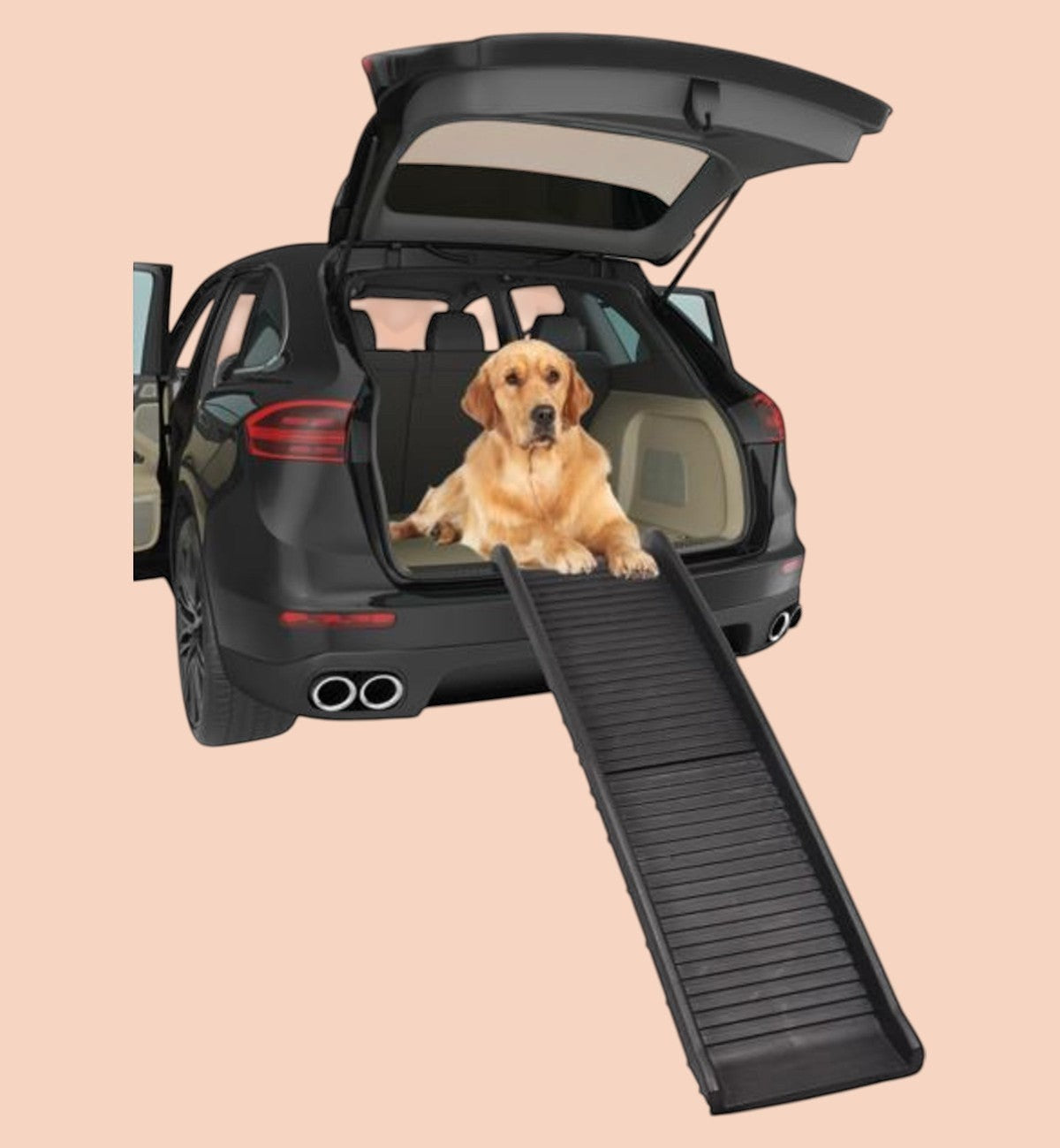 Animozen Rampe pliable pour chien en plastique noir, antidérapante, pour aider les chiens âgés ou blessés à monter dans la voiture.