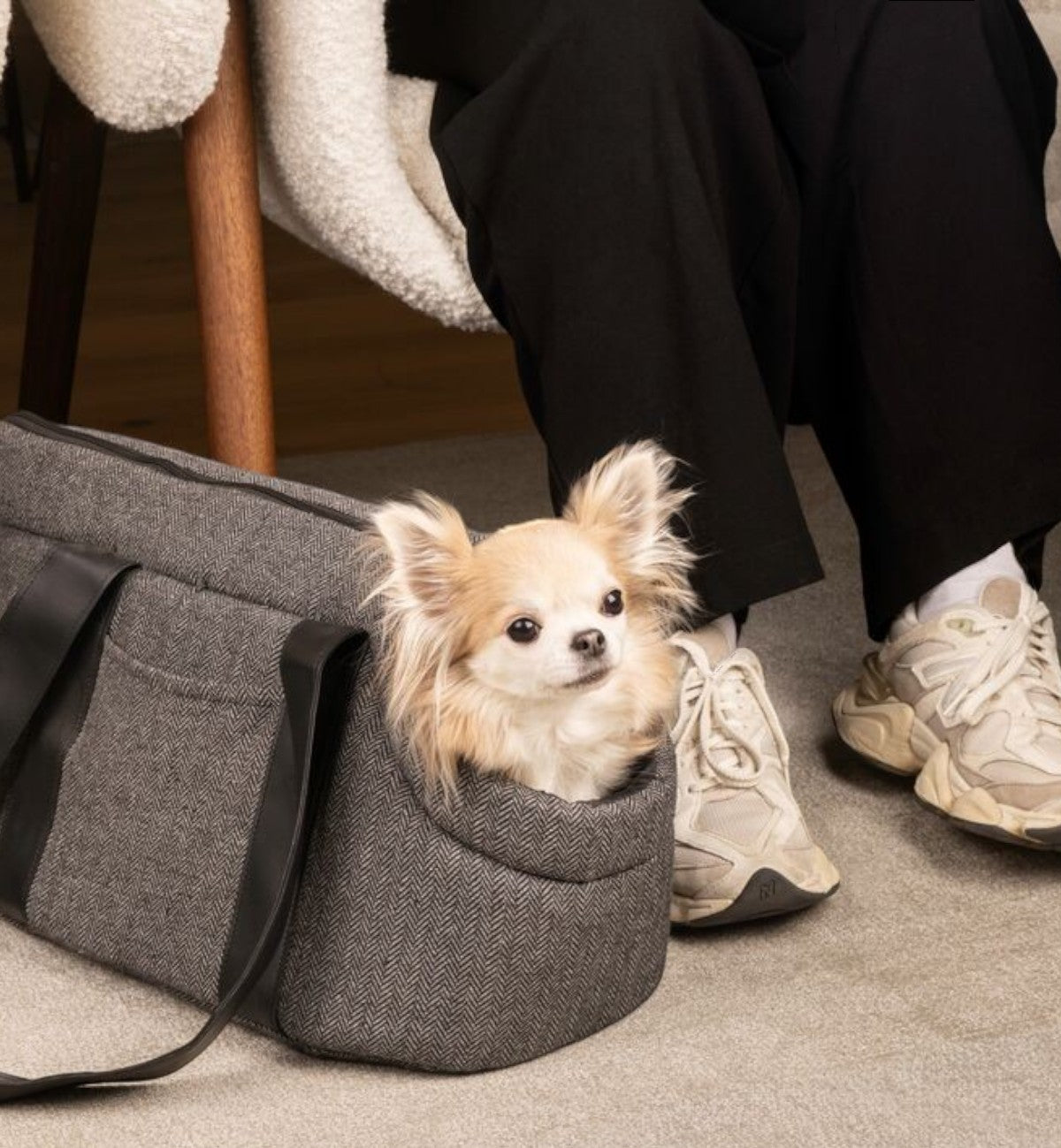Animozen Sac de transport pour chien gris en polyester avec un petit chien chihuahua dedans. 50x24x26 cm.
