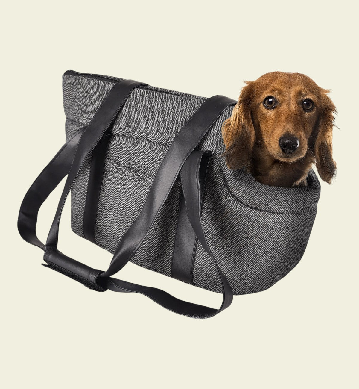 Animozen Sac de transport pour chien gris en polyester avec anses noires et un chien teckel brun à l'intérieur.