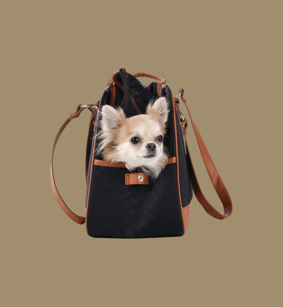 Animozen Sac de transport pour chien noir matelassé avec chien chihuahua, anses marron, maille aérée.
