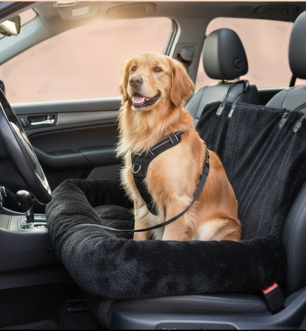 Animozen siège auto banquette doudou noir en polyester pour chien, avec rembourrage doux et sangles de sécurité.