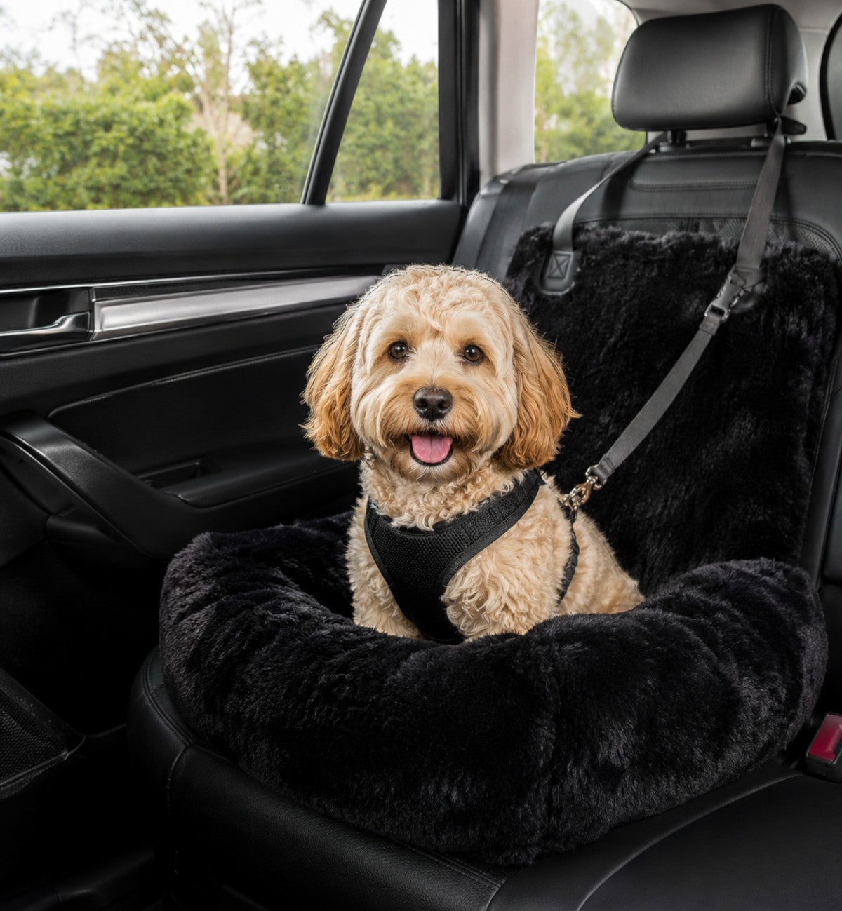 Animozen siège auto pour chien noir en peluche, avec un petit chien beige portant un harnais noir attaché à une sangle de sécurité.