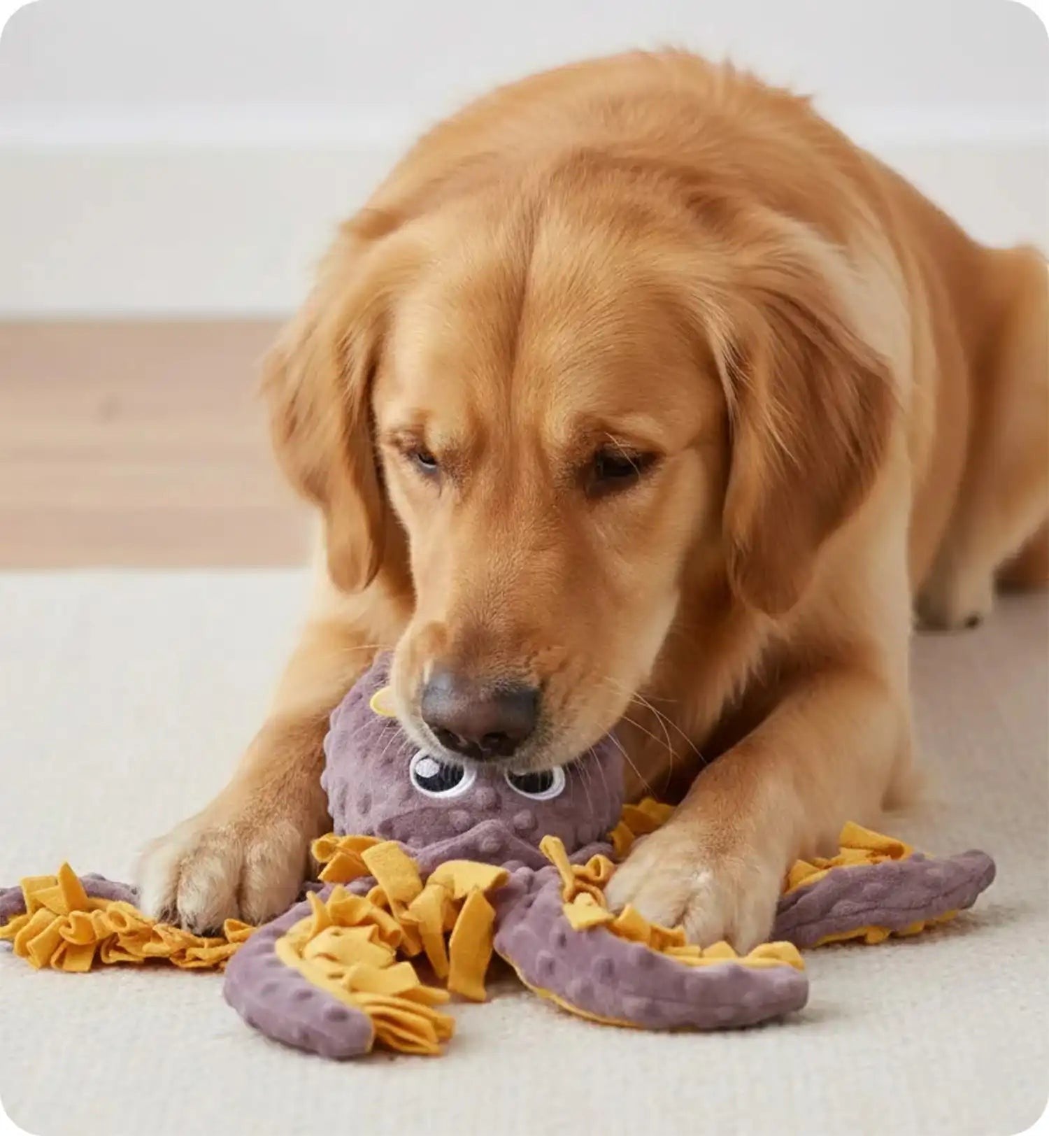Animozen tapis de fouille Morgane calamar violet et ocre pour chien, en polyester doux, lavable en machine.