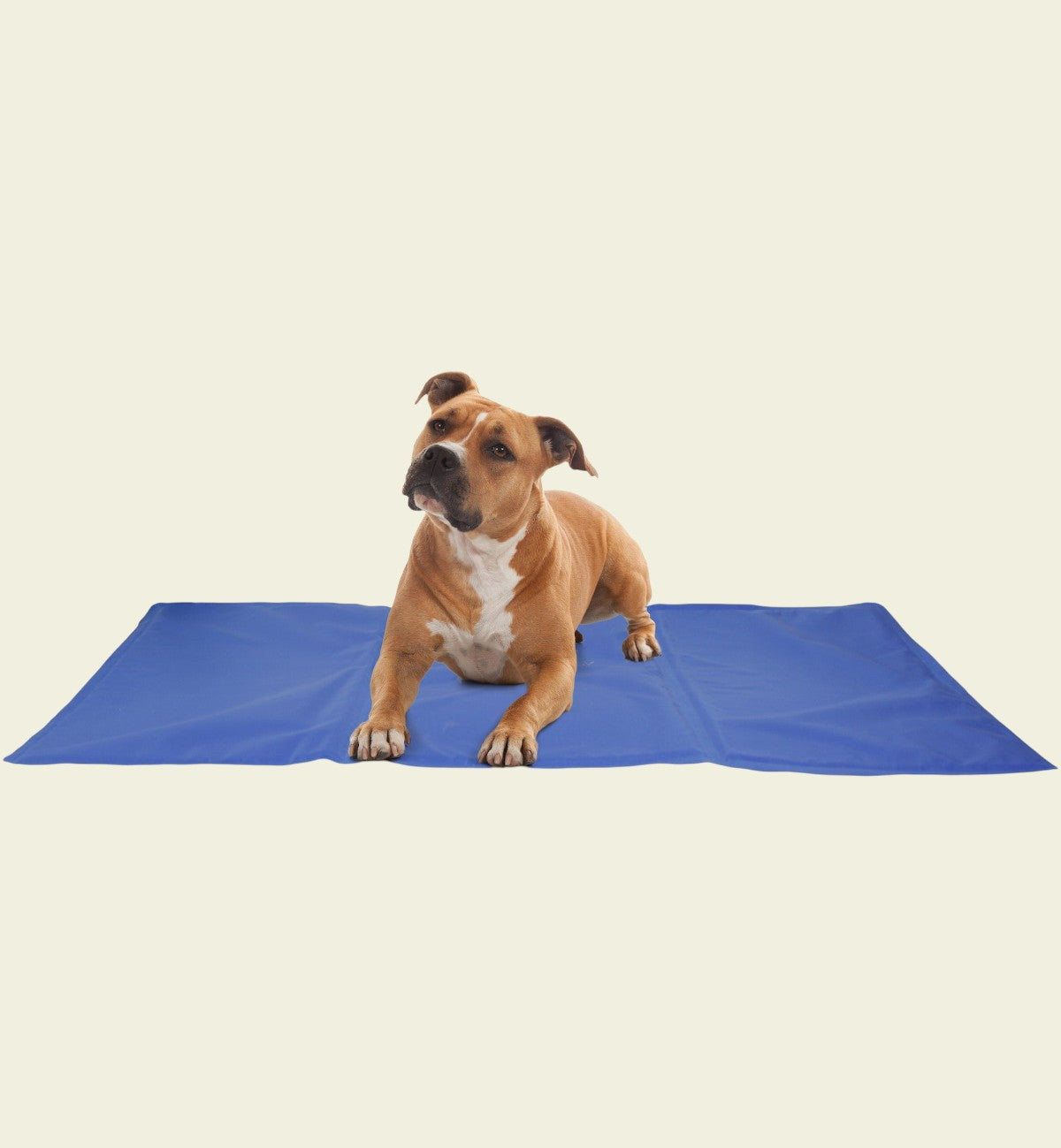 Animozen Tapis rafraîchissant bleu pour chien en polyester, idéal pour l'été. Taille L.